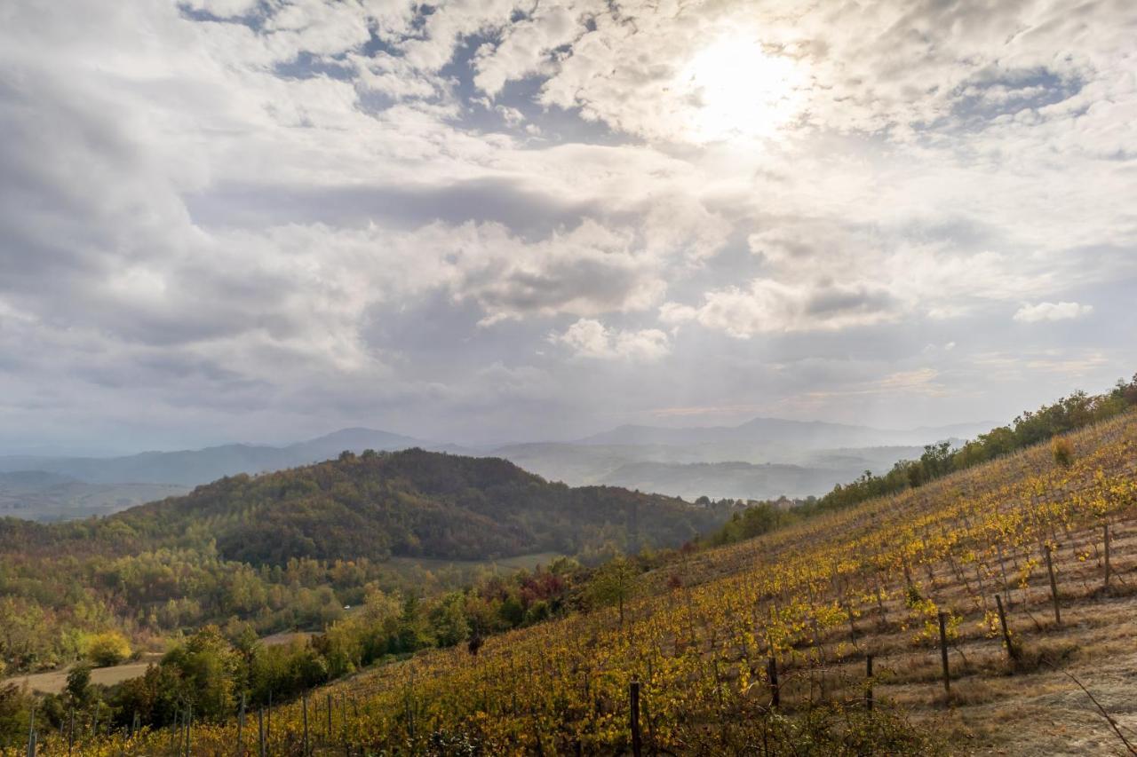 Oasi Di Mastarone - Il Vino E Le Rose Villa Momperone Dış mekan fotoğraf