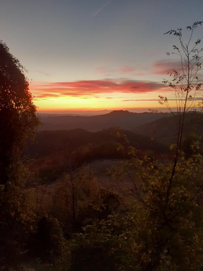 Oasi Di Mastarone - Il Vino E Le Rose Villa Momperone Dış mekan fotoğraf