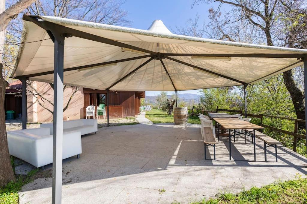 Oasi Di Mastarone - Il Vino E Le Rose Villa Momperone Dış mekan fotoğraf