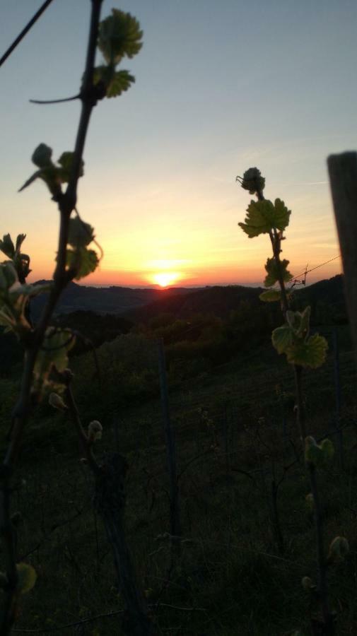 Oasi Di Mastarone - Il Vino E Le Rose Villa Momperone Dış mekan fotoğraf